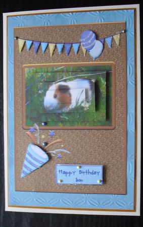 Guinea Pig Boy Qs by Lesley Earing