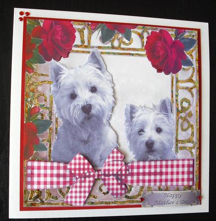 Peekaboo Westies with Red Roses and Check Bow 8x8 by Lesley Earing