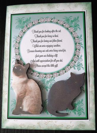 Thanks for Looking After Our Cat by Lesley Earing