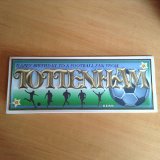 Football Fan from - Tottenham by Lesley Earing