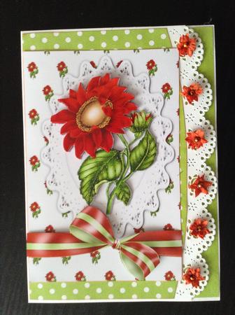 Pretty Red Sunflowers on Lace with Striped Bow by Lesley Earing