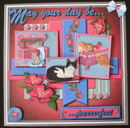 Crazy for Cats! by Lesley Earing