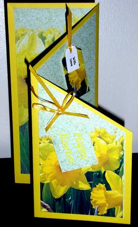 Daffodil Cascade by Lesley Williams