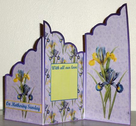 Purple and Yellow Iris Cascade by Lesley Williams