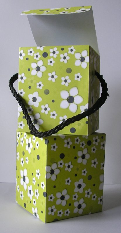Daisy Daisy in Lime Green Tall Slim Gift Box by Lesley Williams