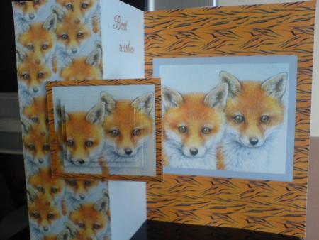Two Fox Cubs by Lianne Elvidge