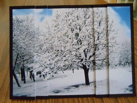 Winter Wonderland Snow Covered Trees by Lillian Theune