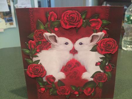 Some Bunny Loves You Mini Valentine's Day / Anniversary Kit by Lillian Theune