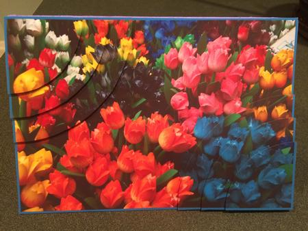 Amsterdam Tulips 2 Corner Stacker by Lillian Theune