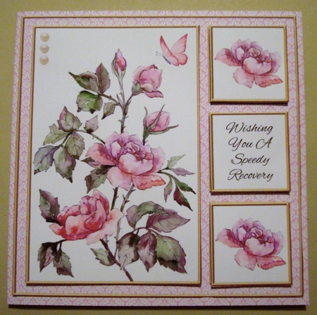 Lovely Wild Roses - Get Well Card #4 by Linda Fraser