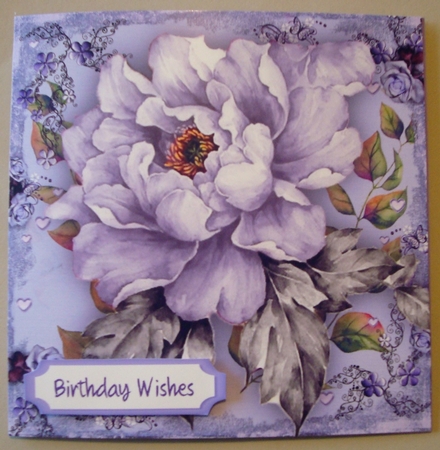 Beautiful Lilac Passion  by Linda Fraser