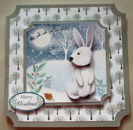 The Winter Wonderland Rabbit by Linda Fraser