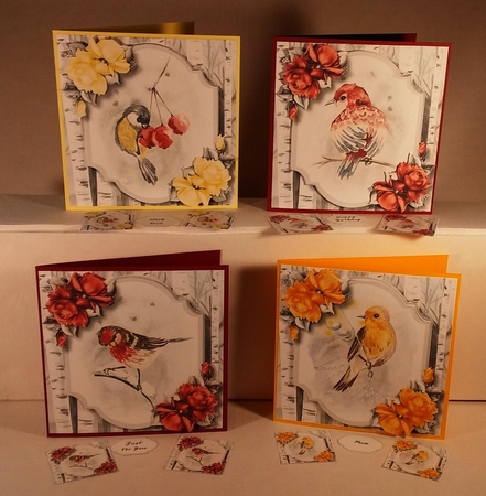 Watercolour Winter Bird Birthday Bumper Kit by Linda Garnett