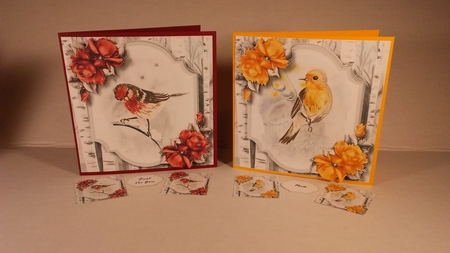 Watercolour Winter Bird Birthday Bumper Kit by Linda Garnett