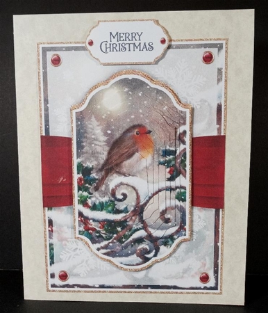 Night Garden Robin 7x5 No.5 by Linda Garnett