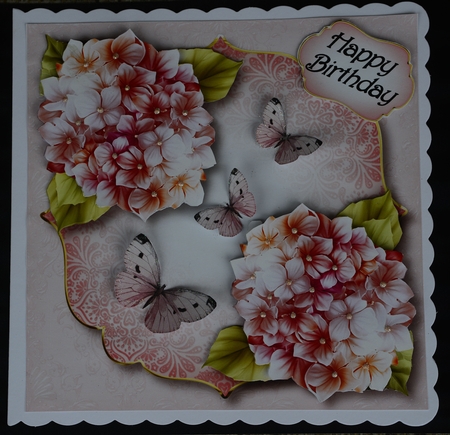 Pretty In Pinks by LINDA HAMMOND