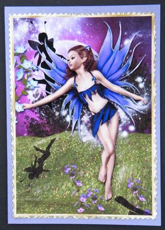 Moon Shadow Fairies by LINDA HAMMOND