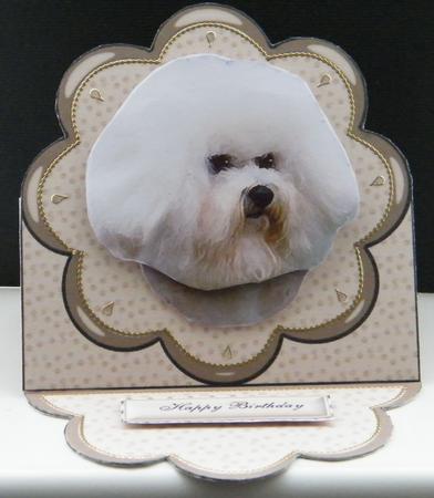 Bichon Frise Plate Shaped Card & Stand by LINDA HAMMOND
