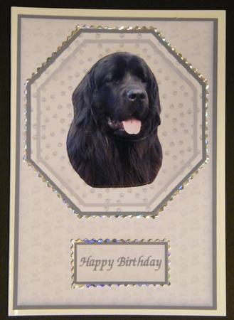 Black Newfoundland Plate Shaped Card & Stand by LINDA HAMMOND