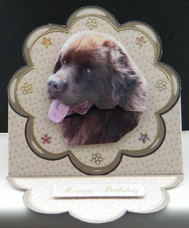 Chocolate Newfoundland Plate Shaped Card & Stand by LINDA HAMMOND
