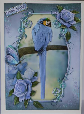Parrots Paradise by LINDA HAMMOND