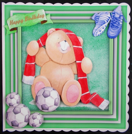 The Footie Supporter  by Linda Short