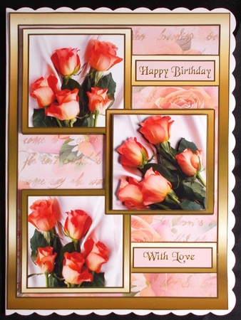 TS Peach roses by Linda Short