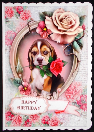 Puppy In Frame by Linda Short