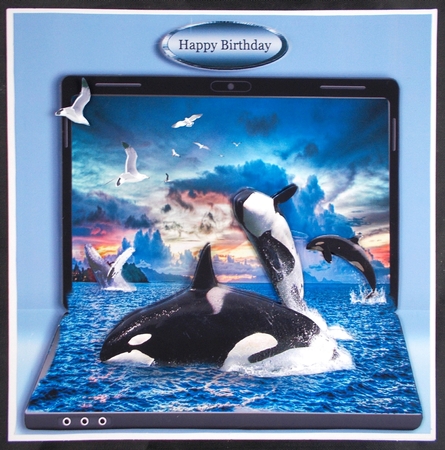 whales in the wild by Linda Short