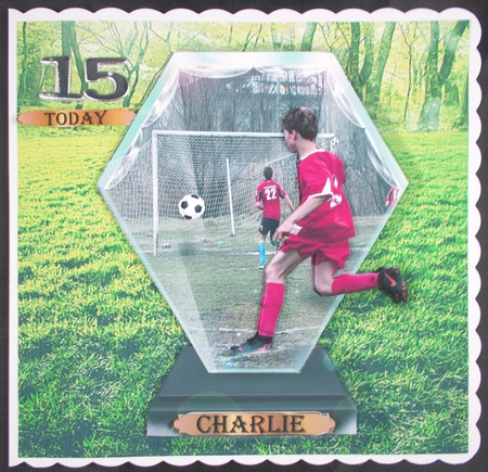 football trophy by Linda Short