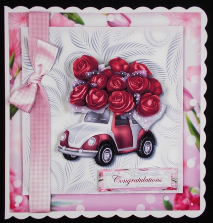 Driver License Girl  red Roses   Mini Kit by Linda Short