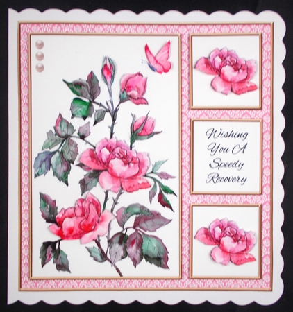 Lovely Wild Roses - Get Well Card #4 by Linda Short