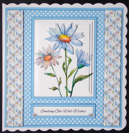 Lovely Daisies - Sending Get Well Wishes by Linda Short
