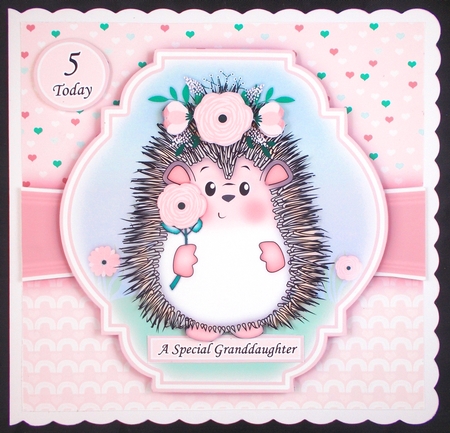 Hedgy Hedgehog Mini Kit With Ages 1 to 8 Yrs by Linda Short