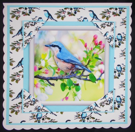 SONGBIRDS BACKGROUND KIT by Linda Short