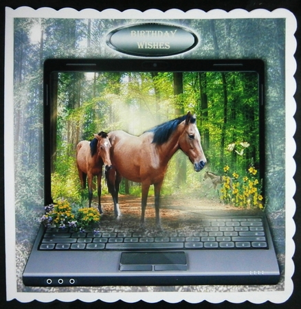 horse and foal  by Linda Short