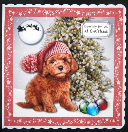 Cute dog Christmas by Linda Short