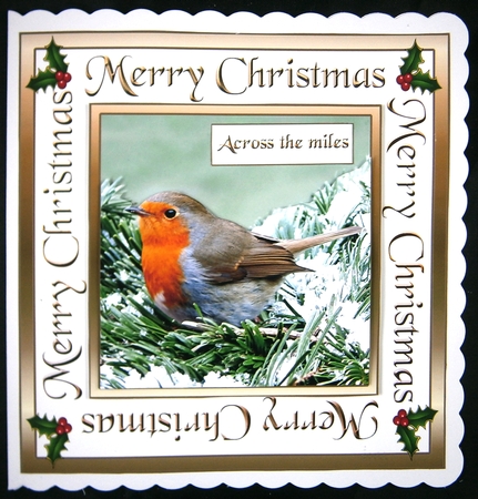 SC Robin in a snowy tree 7inch by Linda Short