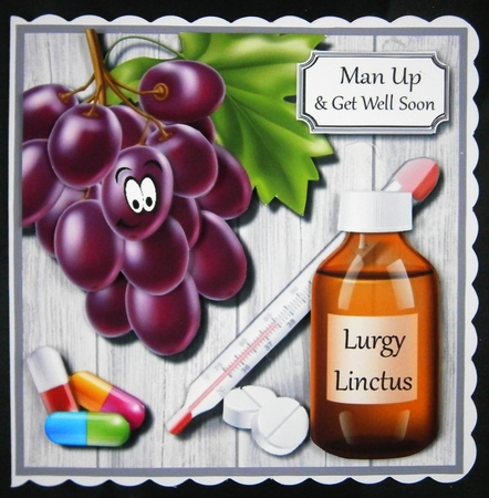 Lurgy Linctus Get Well Soon by Linda Short