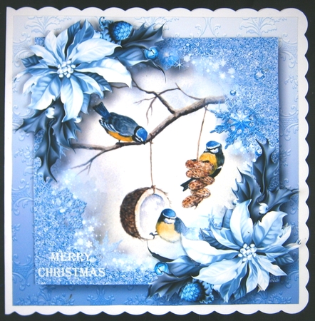 Snow Frame Christmas - Winter Birds by Linda Short