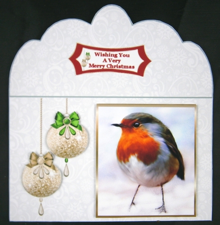 Red, Red Robin - Money Wallet by Linda Short