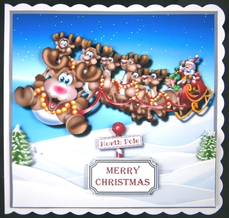Rudolf leads the way by Linda Short