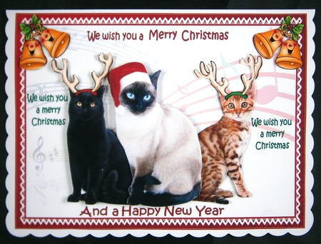 We wish you a merry Christmas from the cats mini kit by Linda Short
