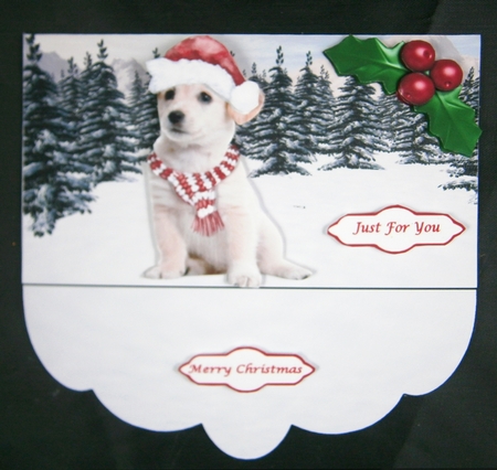 A Puppy Christmas Money Wallet by Linda Short