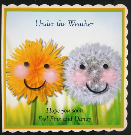 Fine and Dandy Birthday, Get Well and various occasions by Linda Short