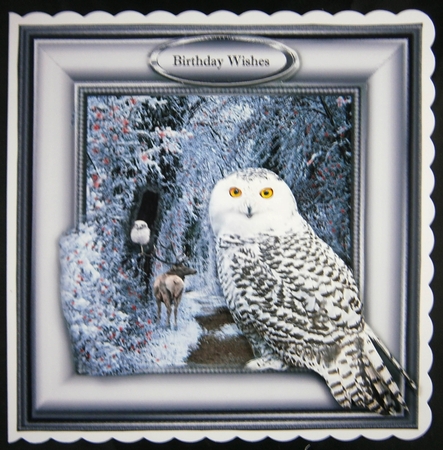 winter owl by Linda Short