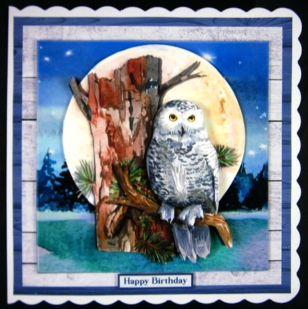 OWL MOON MINI KIT by Linda Short