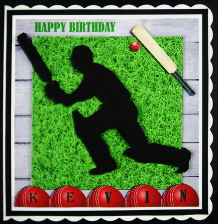 CRICKET QUICK CARD by Linda Short