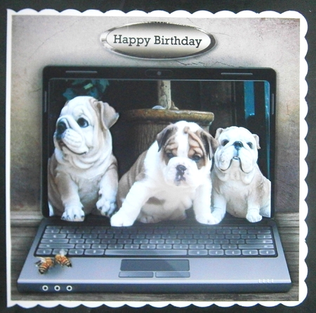 3 pups by Linda Short