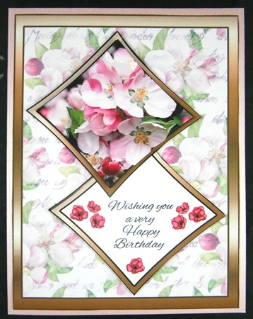 Two squares Apple Blossom by Linda Short